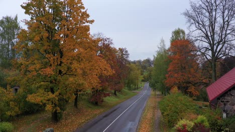 small village and endless rural road in autumn season, aerial ascend view