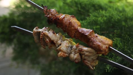 grilled chicken and pork skewers