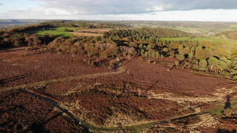 aerial view across fire beacon hill in devon