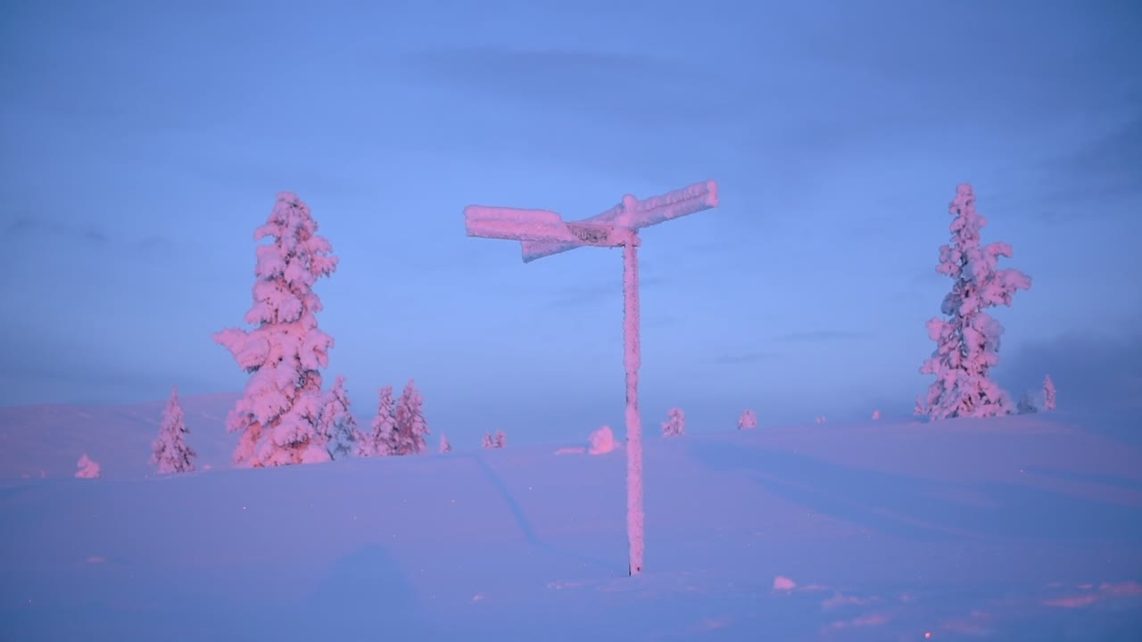 A Post Signage And Trees In Lapland Region Fully Covered With Snow During The Evening. -wide shot