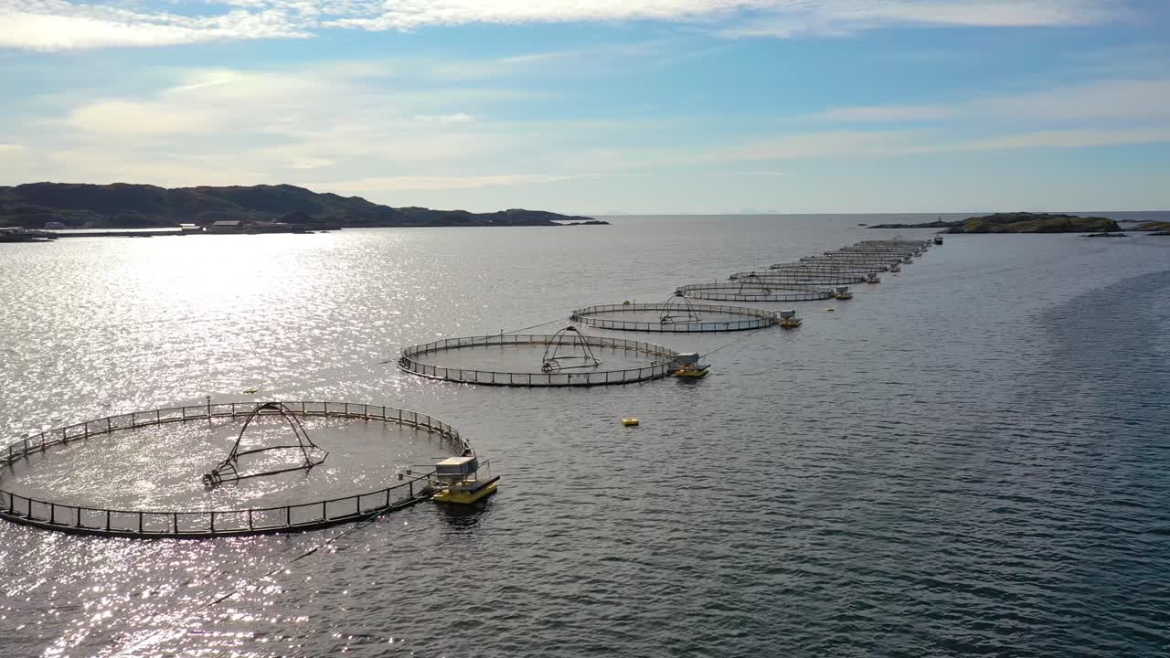 노르웨이에서 연어  ⁇ 시를 하는 공중 촬영