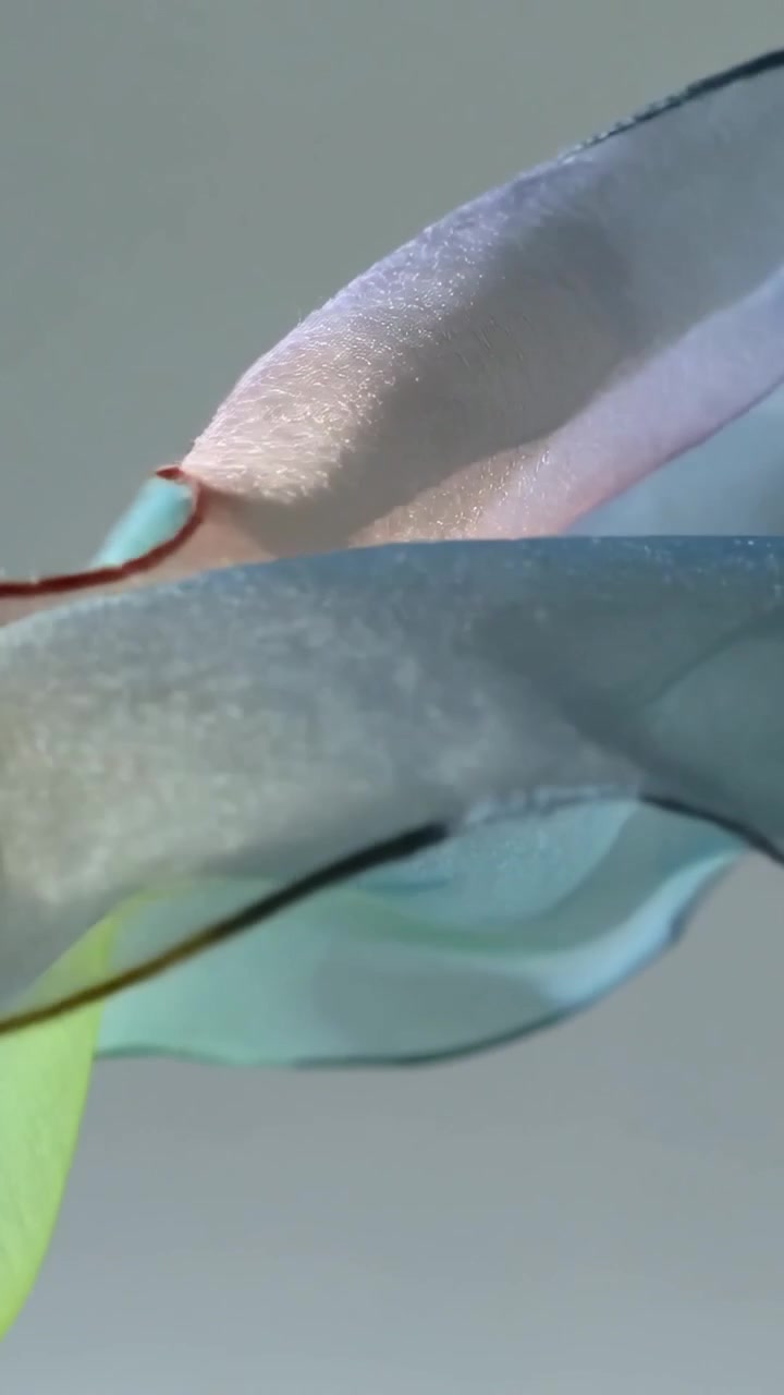 Vertical video: Rotating sheer ribbon rippling in studio gray, soft light shifting pink to green
