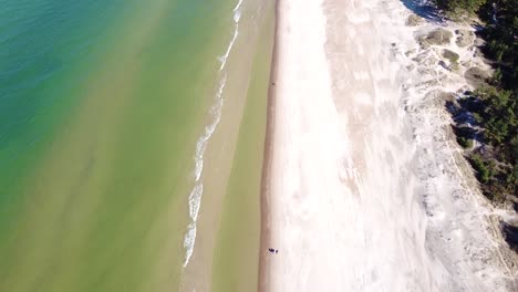 couple walking on sandy coastline of baltic sea, aerial view