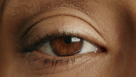 Nahaufnahme-Makro-Braunes-Auge-Blinkt-Natürliche-Menschliche-Schönheit-Gesundes-Sehvermögen-Konzept