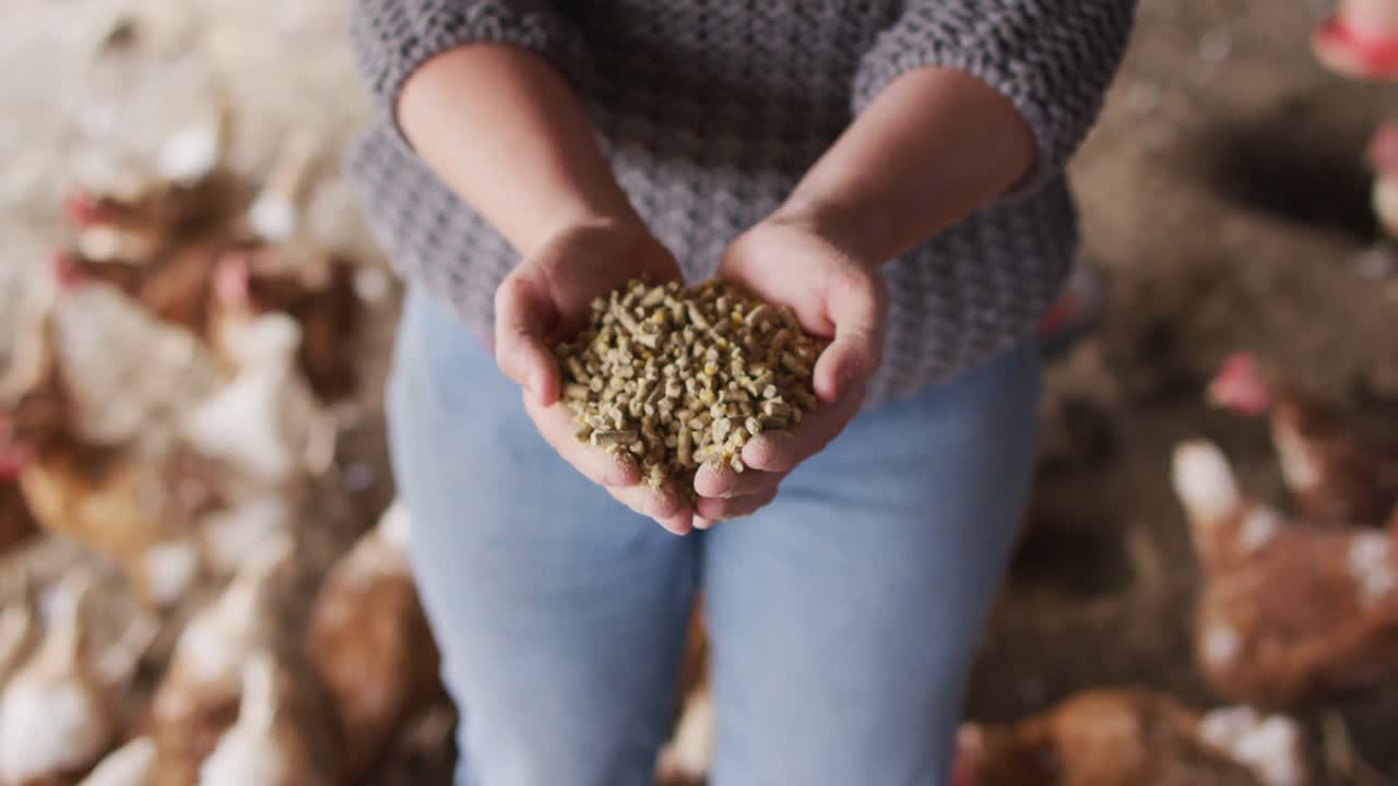 농장에서 일하고  ⁇ 을 먹이는 백인 여성의 중간 섹션