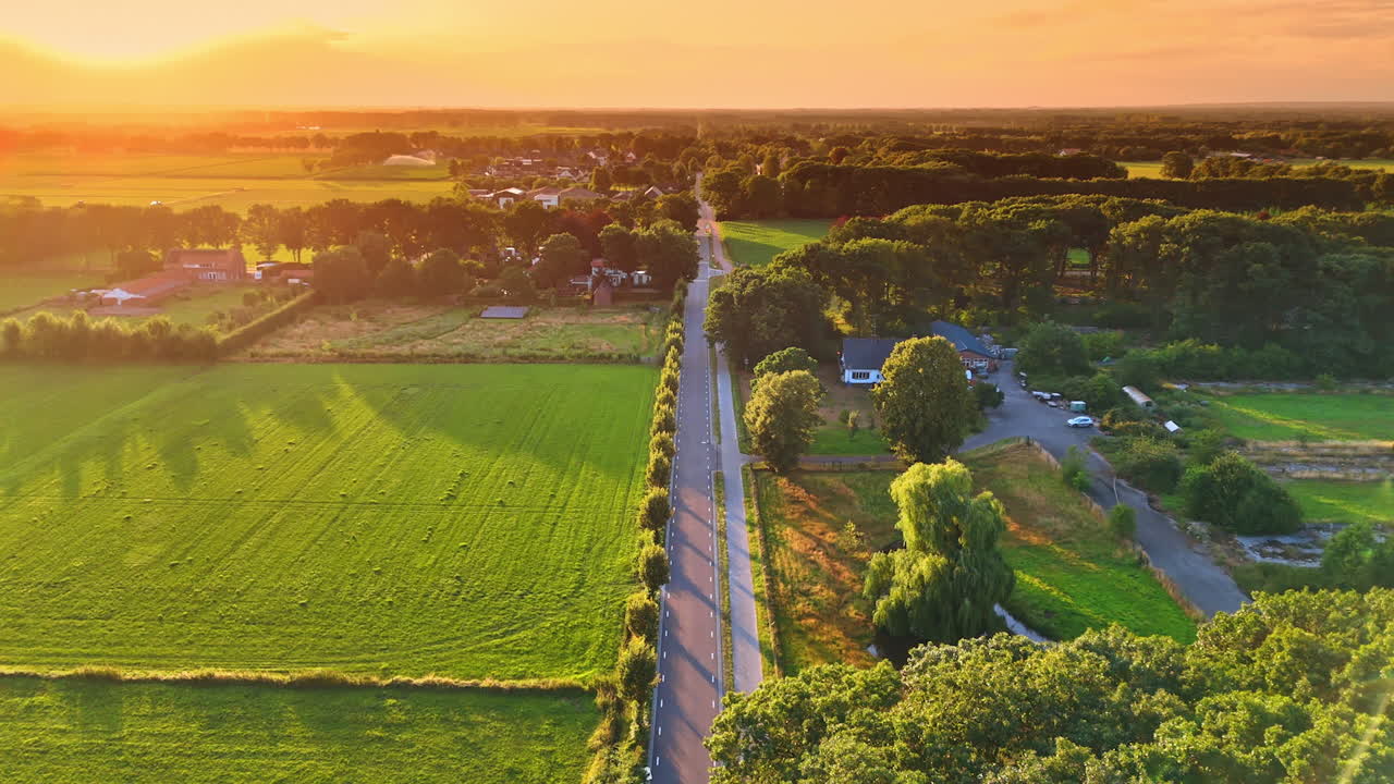 Sunny evening on green fields. Golden sunlight bathes the countryside, highlighting a peaceful road through lush fields and trees at sunset