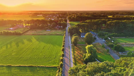 sunny evening on green fields. golden sunlight bathes the countryside, highlighting a peaceful road through lush fields and trees at sunset