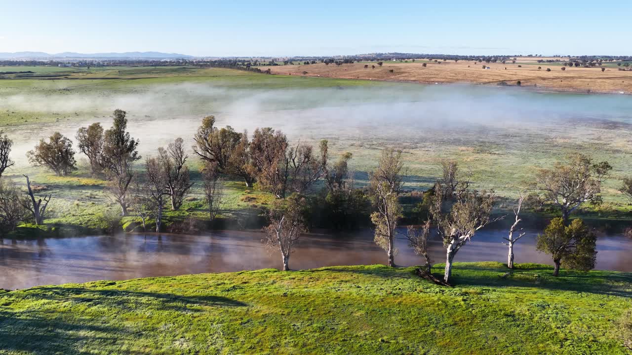 Drone glides above a mist-covered pond and green field, revealing trees and early morning sunlight in rural Tamworth, New South Wales, Australia