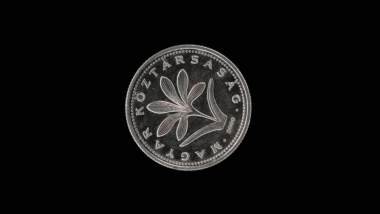 Hungary 2 forint 2000 obverse with Colchicum Hungaricum design, macro loop on black background