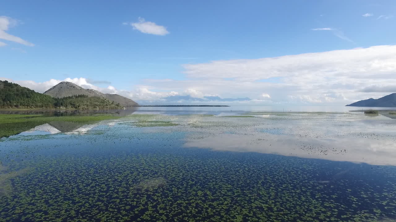 산의 반사와 함께 평온한 호수변 전망