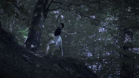 a mysterious woman dances and calls to the spirits in a ritual after the sun sets