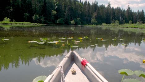 tip of canoe in lake with lilies flowering