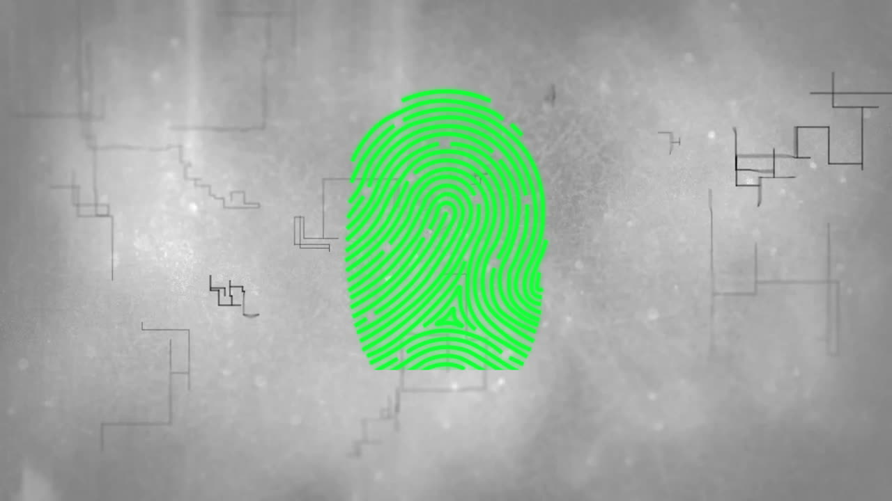 animación de la red de conexiones y procesamiento de datos sobre fondo gris