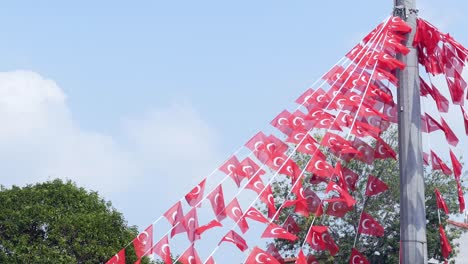 turkish flags decorated on a pole