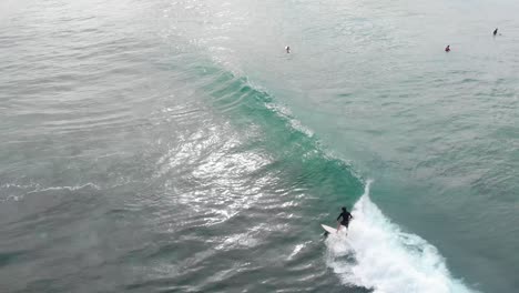 drone shot of surfer bailing on wave in sri lanka