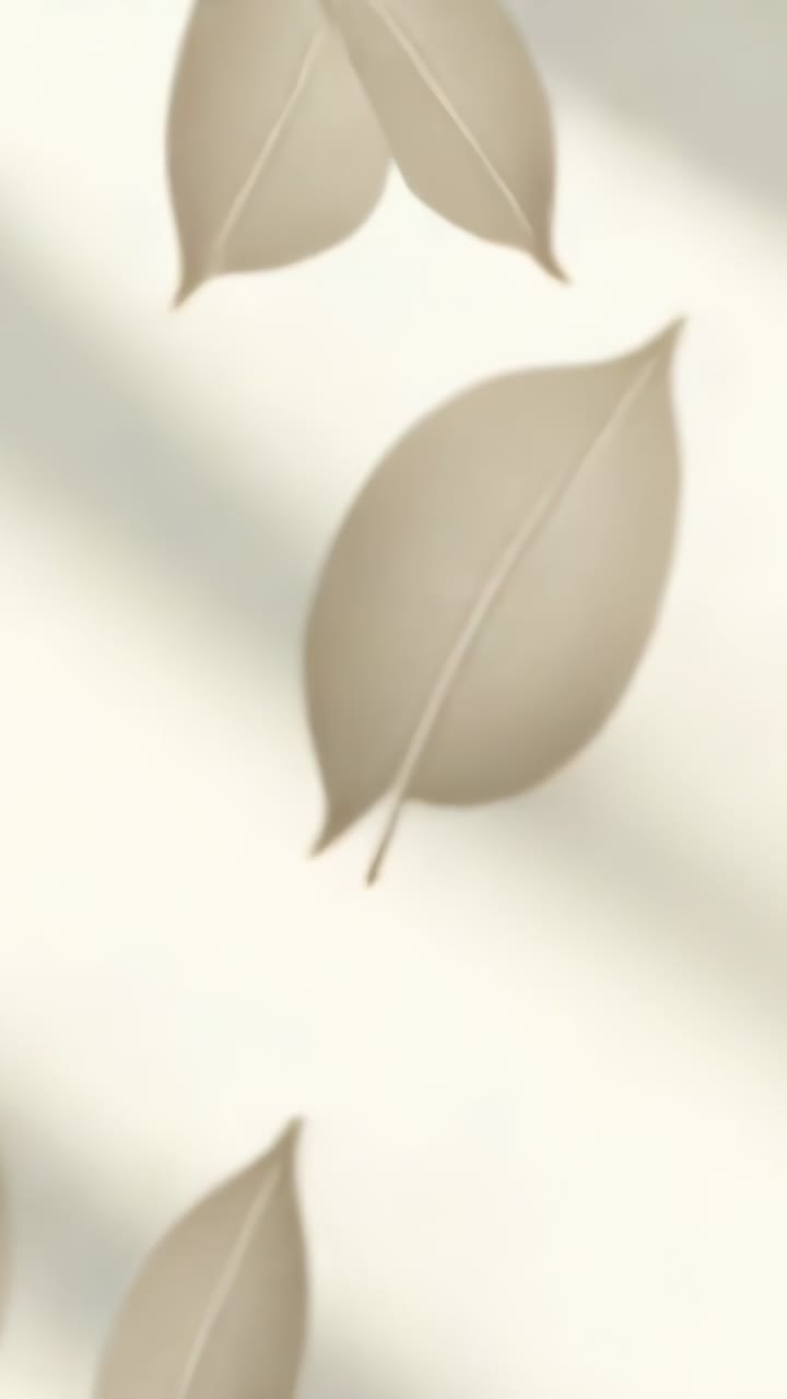 Video verticale: Ombre mutevoli che fanno scivolare foglie beige su uno sfondo color crema, con spazio per il testo
