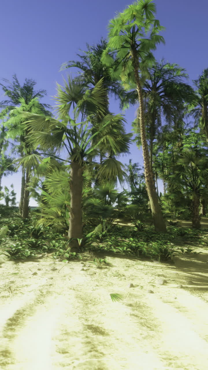 Beautiful tropical beach with palm trees and clear blue skies during daytime