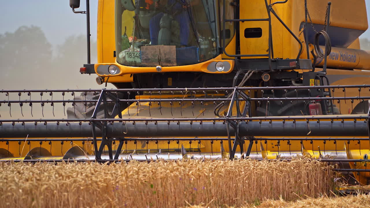 Huge mowing machine cuts the ripe wheat spikelets. Big yellow combine harvester approaching the camera. Spinning mowing mechanism close up.