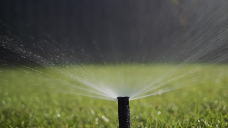 slider sgot: a stream of water under pressure irrigates the green lawn.