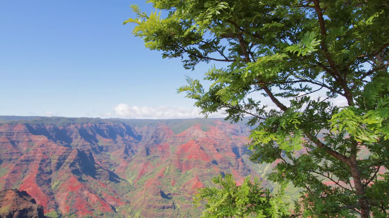 Punto Panoramico del Canyon di Waimea a Kauai