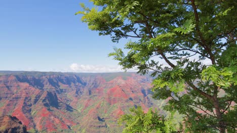 瓦米亞峡谷 (waimea canyon) 位於美國卡瓦伊島 (kauai)