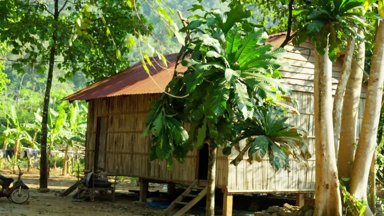 Cambodia: Traditional south east asia stilt house in lush green forest sunny day