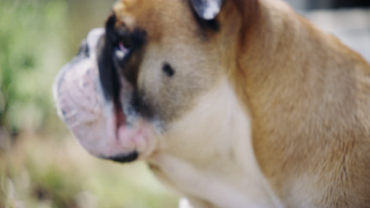 정원에서 보이는 건 다람 ⁇ 인가 새인가?