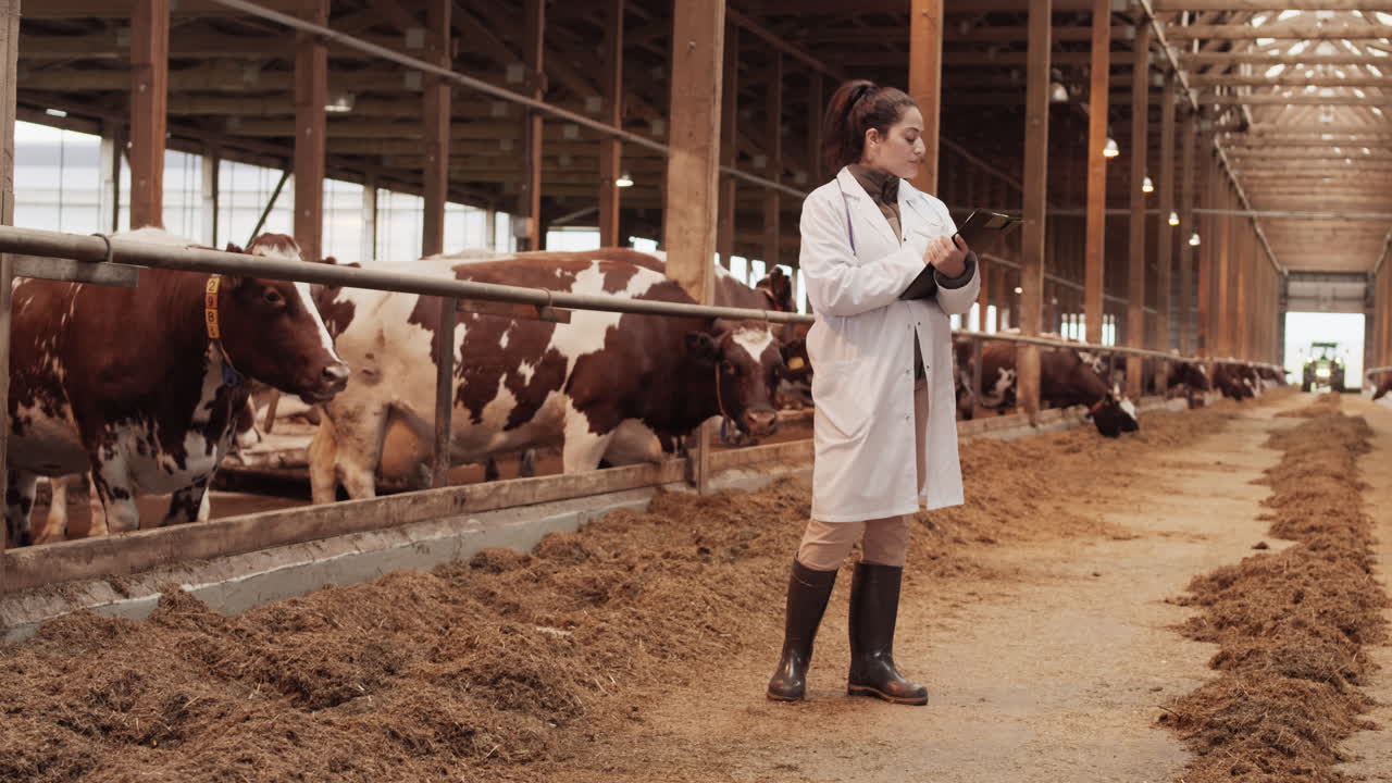 Female Vet Taking Notes about Cows
