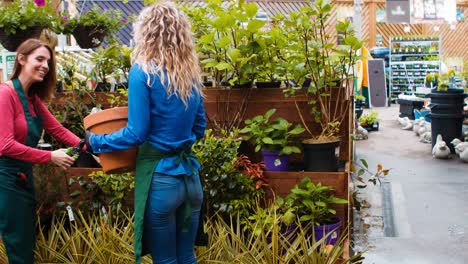 Female-florists-working-together