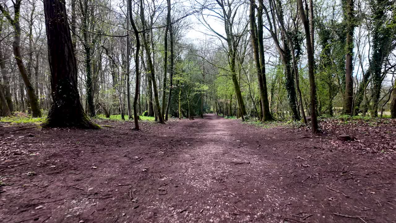 Empty woodland trail extending into the distance, surrounded by emerging spring foliage. POV, Push Forward