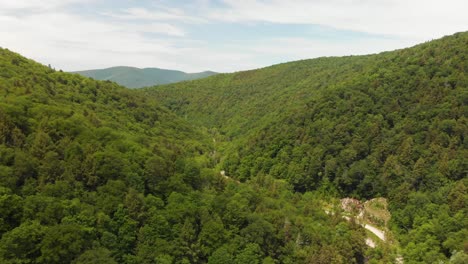 fast, wide aerial pull back above green mountain forest in vermont, usa