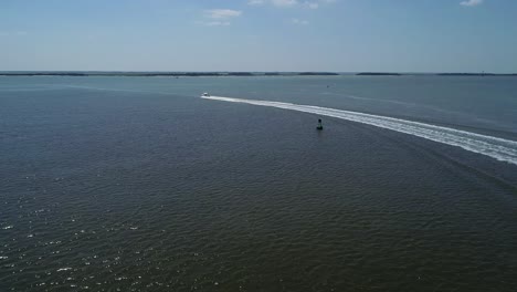 following a boat at fernandina beach flying near amelia island on a peaceful sunny summer day chasing a boat