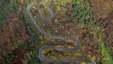 perspectiva aérea de un asombroso camino sinuoso rodeado por un bosque otoñal en una colina