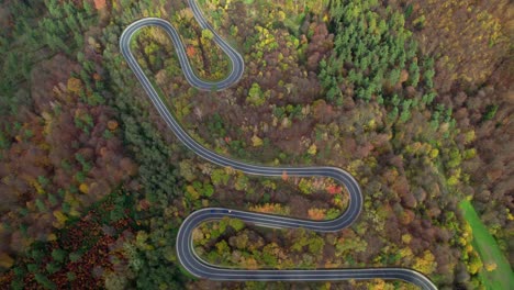 luftperspektive einer erstaunlichen kurvenreichen straße, umgeben von einem herbstwald auf einem hügel