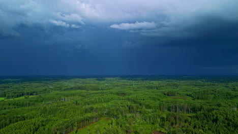 A-High-Angle-Reverse-Shot-Of-A-Green-Forest-Landscape-And-A-Blue-Sky-With-Clouds