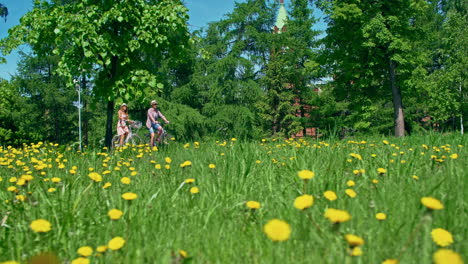 toma de seguimiento de una pareja montando en bicicleta en el parque y hablando en movimiento en verano