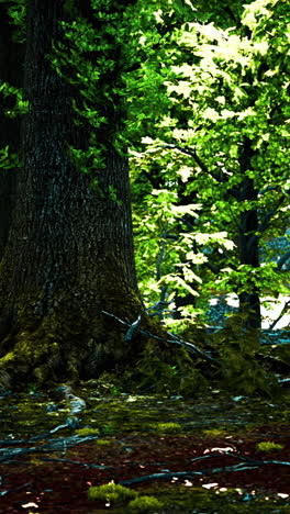 forest floor closeup