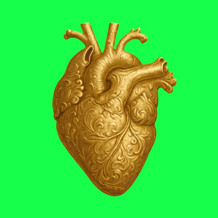 Cuore anatomico dorato intricato isolato su schermo verde