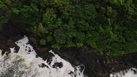 Vista-Superior-Islas-Verde-Copa-De-Los-árboles-Dosel-Línea-Costera-Marea-Salpicando-Paisaje-Rocoso-Vista-Aérea-Moviéndose-Tierra-Adentro