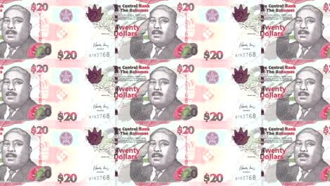 billetes de veinte dólares de las bahamas rodando en la pantalla, dinero en efectivo, bucle