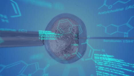 inseminación artificial con texto y datos en azul