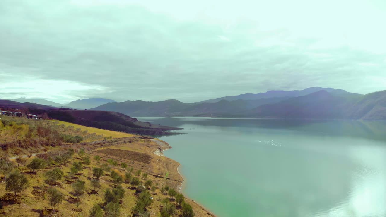 산 호수 기슭에 심은 새 나무, 회색 구름과 함께 맑은 겨울날의 선명한 색상, 드론 영상