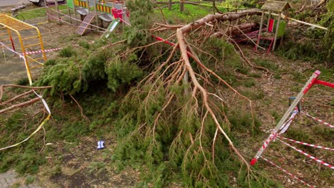 leaves of fallen tree covering playground after storm with stong wind, impact of climate change on urban area