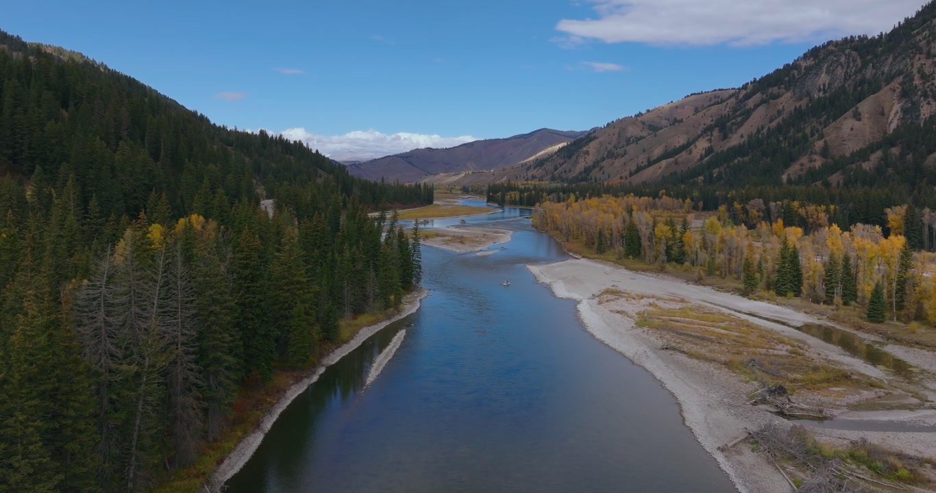 Winding river channel beside forest and gravel bars in Wyoming valley, drone pullback, nobody