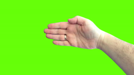 hand poses and gestures on green screen