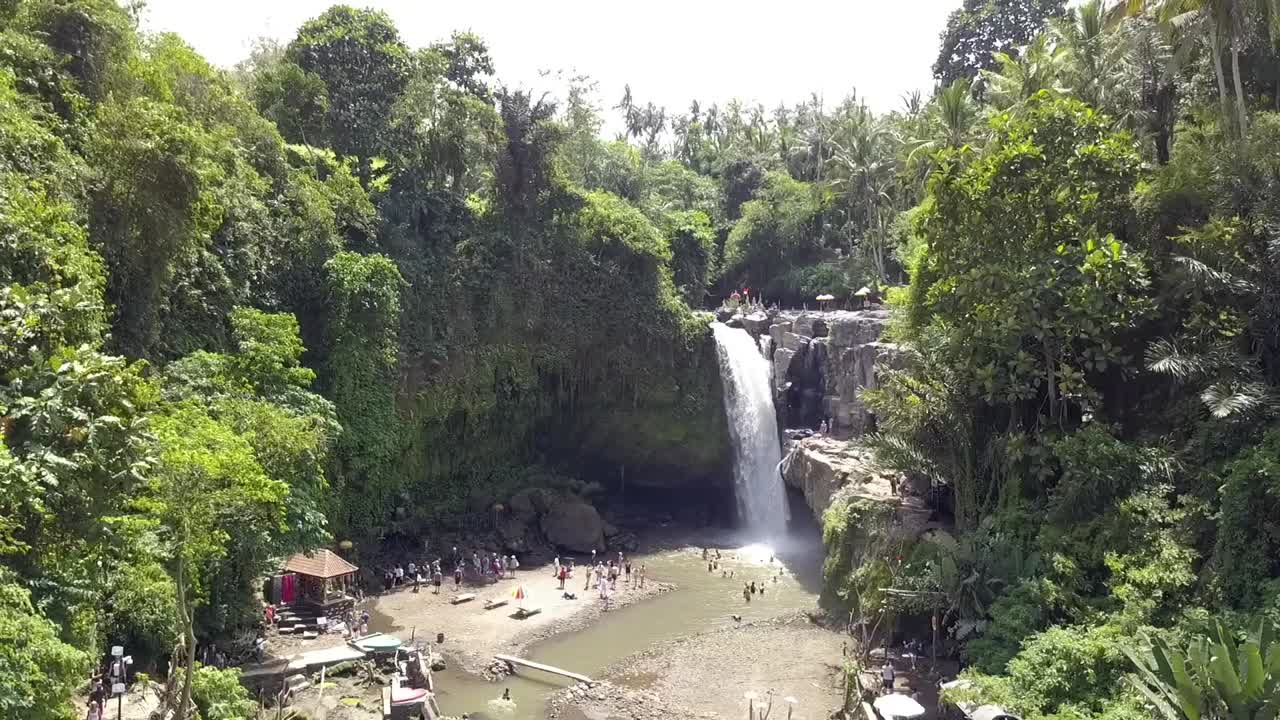 열대 우림의 관광 명소