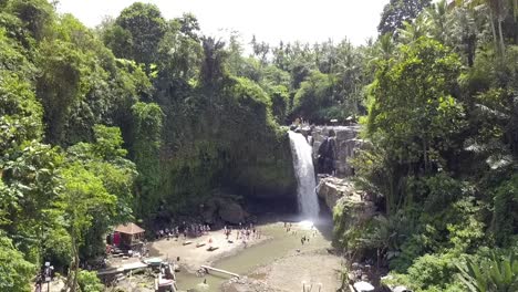 雨林中的旅遊景點