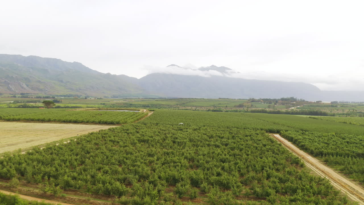 la naturaleza nunca deja de sorprender.