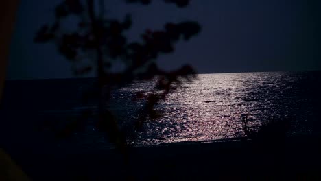 the night sea illuminates the moon