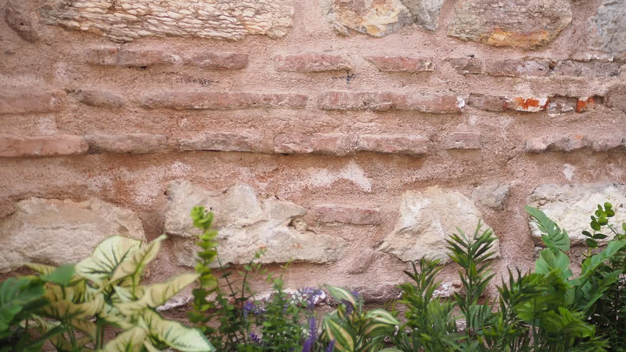 Ancient Stone and Brick Wall with Plants